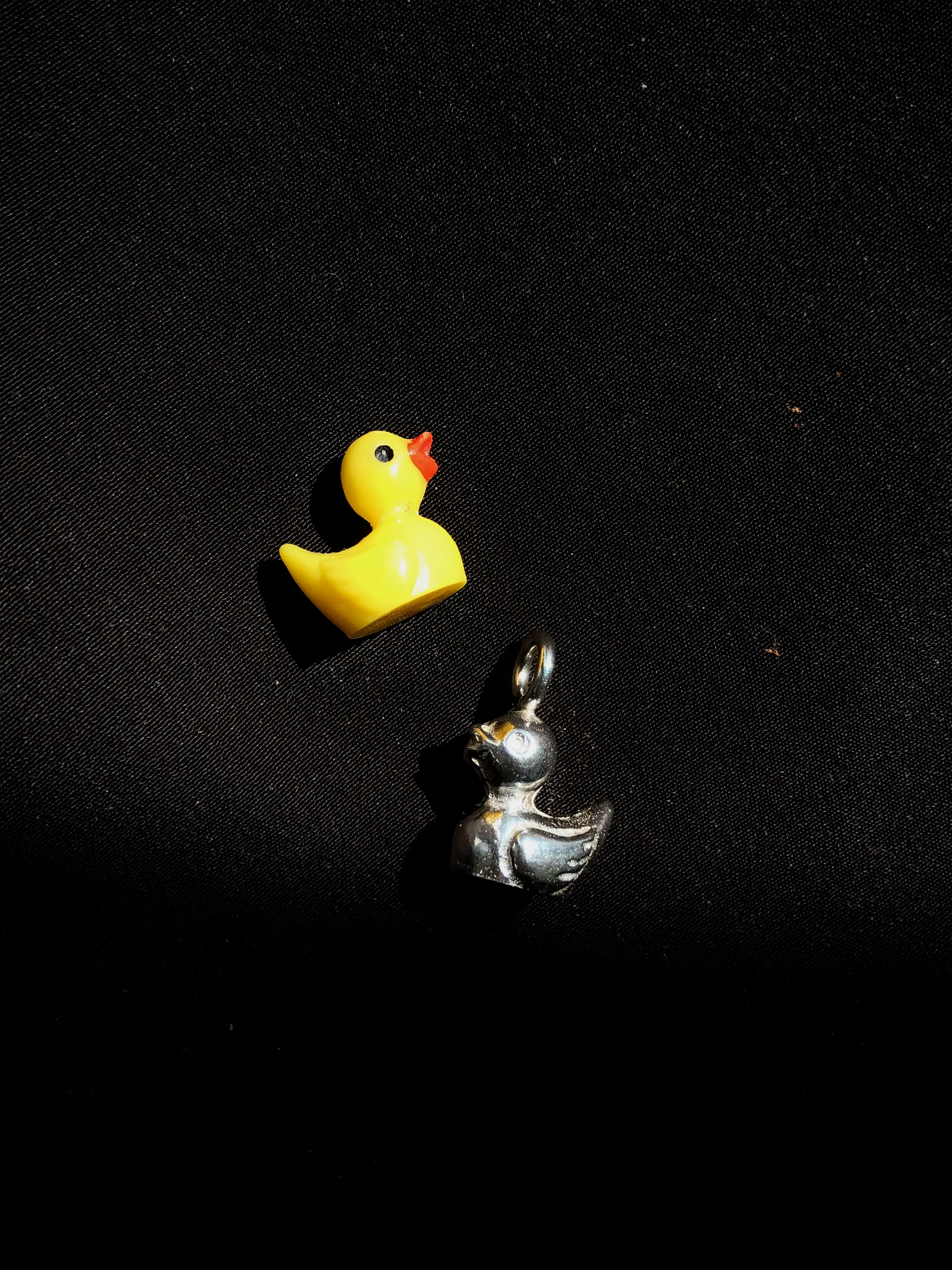 Duck in silver